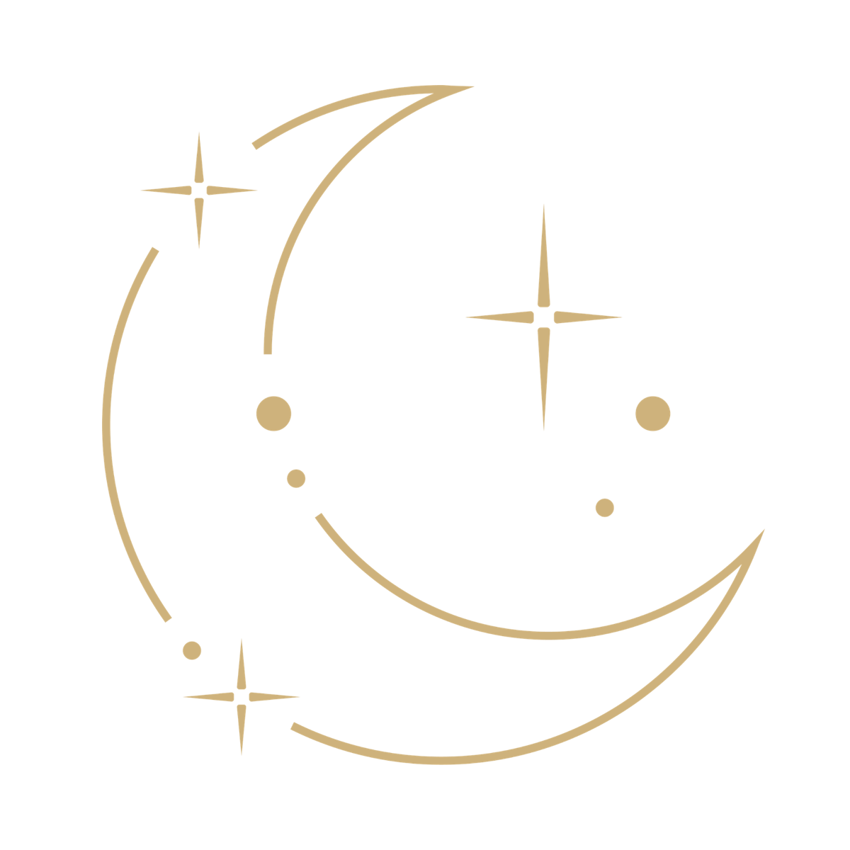 Did You Dream? logo